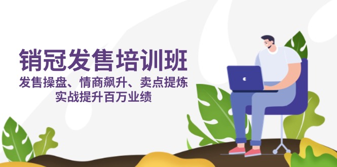 销冠 发售培训班:发售 操盘+情商 飙升+卖点 提炼,实战提升百万业绩-柒浠资源网