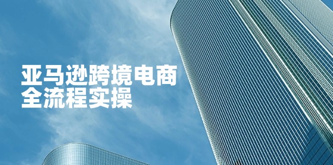 亚马逊跨境电商全流程实操，教你从零开始，掌握店铺运营与广告技巧-柒浠资源网