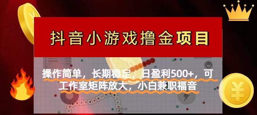 【抖音小游戏发行人计划项目】操作简单，长期稳定，日盈利500+，可工作…-柒浠资源网