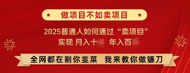 必看，做项目不如卖项目，2025普通人如何通过“卖项目”实现月入十个，年入百个-柒浠资源网