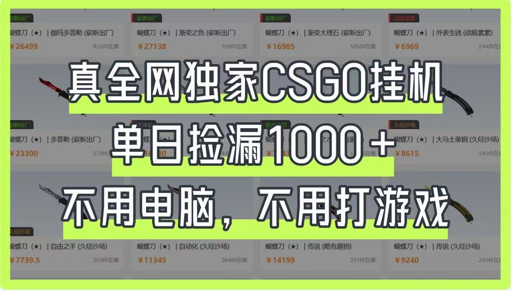 真全网独家CSGO挂机,单日捡漏1000+,不用电脑,不用养号-柒浠资源网