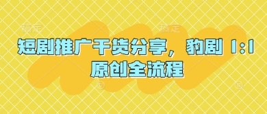 短剧推广干货分享，豹剧 1:1原创全流程-柒浠资源网