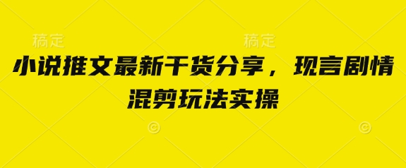 小说推文最新干货分享，现言剧情混剪玩法实操-柒浠资源网