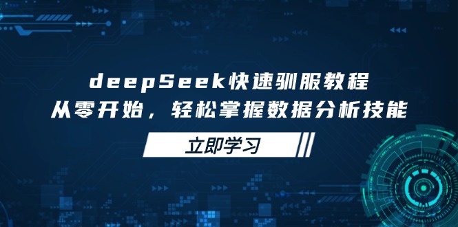 deepSeek快速驯服教程，从零开始，轻松掌握数据分析技能-柒浠资源网