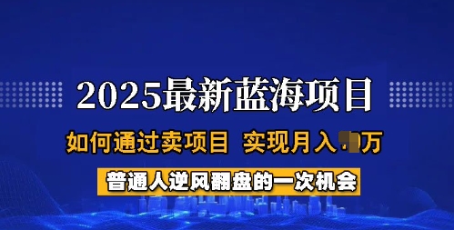 2025蓝海项目，普通人如何通过卖项目，实现月入过W，全过程【揭秘】-柒浠资源网