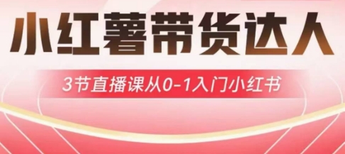 小红薯达人带货启航计划，3节直播课从0-1入门小红书-柒浠资源网