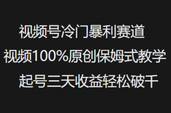 视频号冷门暴利赛道视频100%原创保姆式教学起号三天收益轻松破千-柒浠资源网