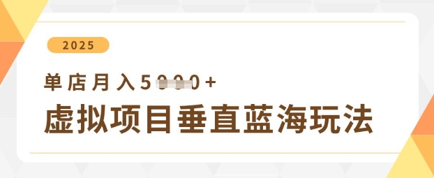 虚拟项目垂直玩法，实现单店月入5k+-柒浠资源网
