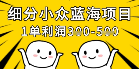 细分小众蓝海项目，一单利润3张，每月收入稳定过1w+-柒浠资源网