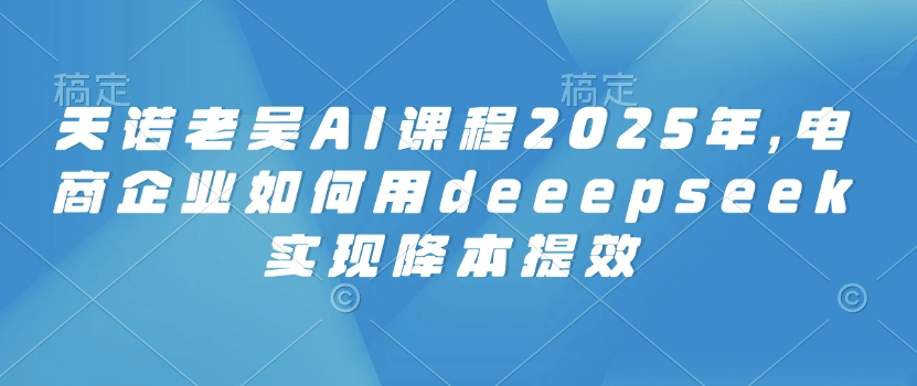 天诺老吴AI课程2025年，电商企业如何用deeepseek实现降本提效-柒浠资源网