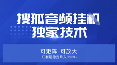 【搜狐音频挂G】独家技术，可矩阵可放大，红利期稳定月入8k【揭秘】-柒浠资源网
