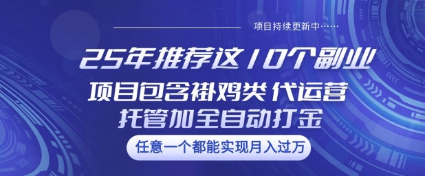 25年推荐这10个副业项目包含褂鸡类、代运营托管类、全自动打金类【揭秘】-柒浠资源网