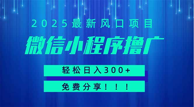 微信小程序撸广，最新风口项目，日入300+ 免费分享 可批量操作 小白可…-柒浠资源网