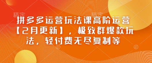 拼多多运营玩法课高阶运营【2月更新】，极致群爆款玩法，轻付费无尽复制等-柒浠资源网