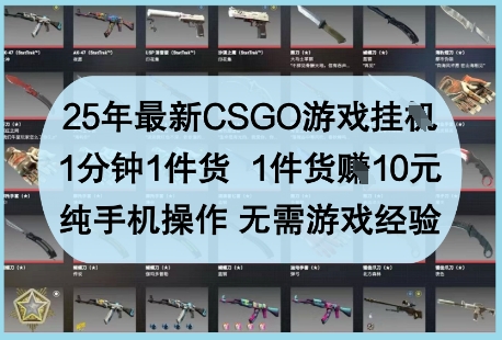25年最新CSGO游戏挂G,1分钟1件货,1件货挣10元,纯手机操作,无需游戏经验【揭秘】-柒浠资源网