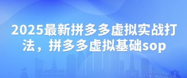 2025最新拼多多虚拟实战打法，拼多多虚拟基础sop-柒浠资源网