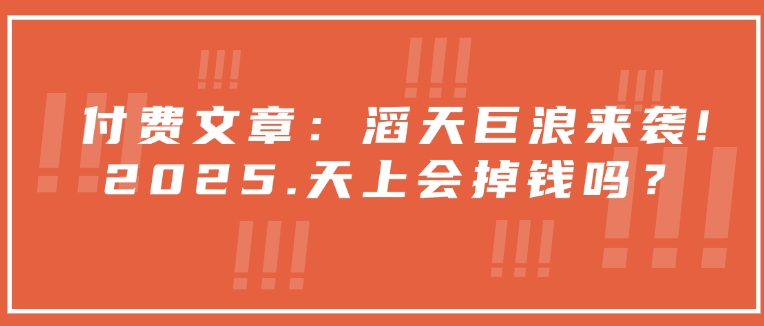 付费文章：滔天巨浪来袭！2025天上会掉钱吗？-柒浠资源网
