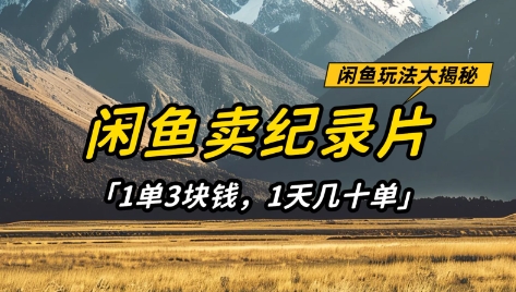 闲鱼卖纪录片1单3块钱，1天几十单，项目稳定有潜力-柒浠资源网