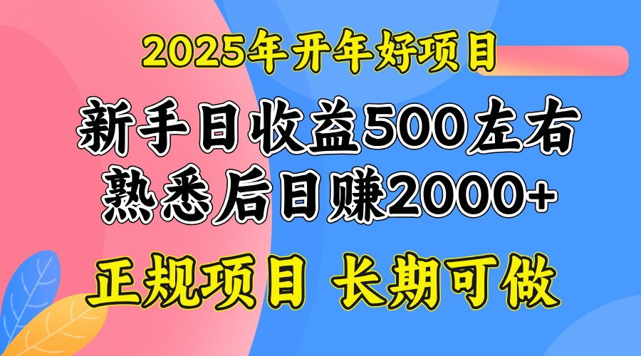 2025开年好项目，单号日收益2000左右-柒浠资源网