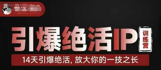 引爆绝活IP训练营，14天引爆绝活，放大你的一技之长-柒浠资源网