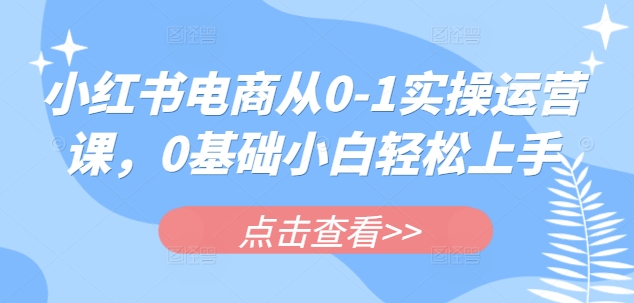 小红书电商从0-1实操运营课，0基础小白轻松上手-柒浠资源网