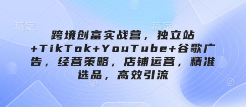 跨境创富实战营，独立站+TikTok+YouTube+谷歌广告，经营策略，店铺运营，精准选品，高效引流-柒浠资源网