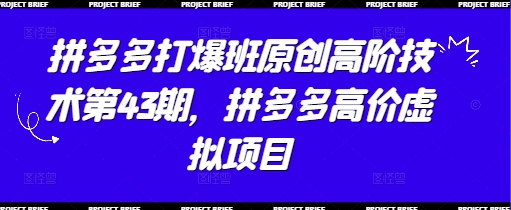 拼多多打爆班原创高阶技术第43期,拼多多高价虚拟项目-柒浠资源网