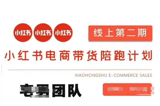 小红书电商带货课2期，月利润20个的小红书电商的有货源，无货源，虚拟产品，付费投流等整套玩法-柒浠资源网