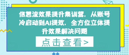 信息流效果提升集训营,从账号冷启动到AI提效,全方位立体提升效果解决问题-柒浠资源网