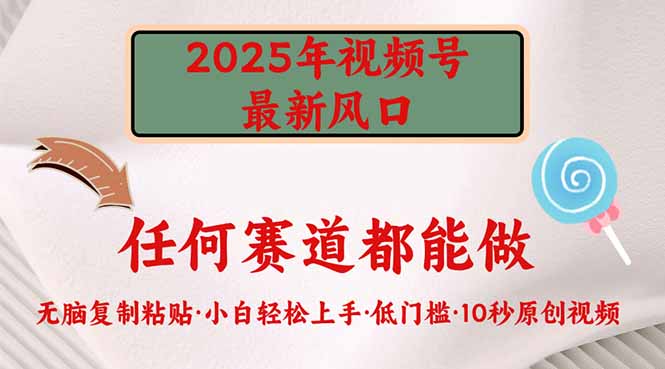 2025年视频号新风口，低门槛只需要无脑执行-柒浠资源网