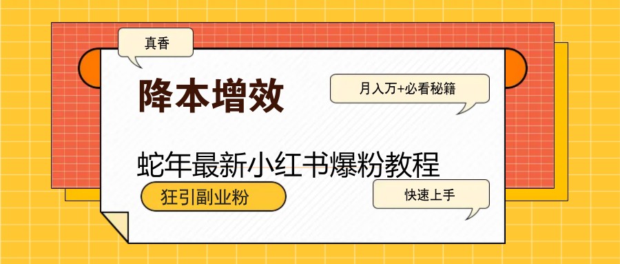 蛇年最新小红书爆粉教程，狂引副业粉，月入万+必看-柒浠资源网