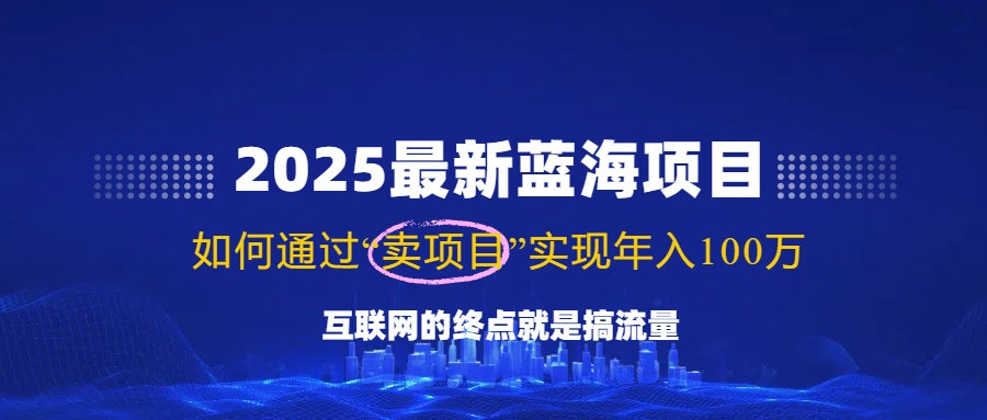 2025最新蓝海项目，零门槛轻松复制，月入10万+，新手也能操作！-柒浠资源网
