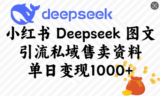 小红书Deepseek图文引流私域售卖资料,单日变现多张-柒浠资源网