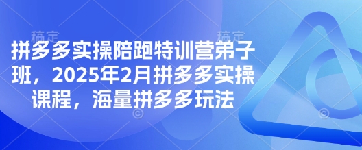 拼多多实操陪跑特训营弟子班，2025年2月拼多多实操课程，海量拼多多玩法-柒浠资源网