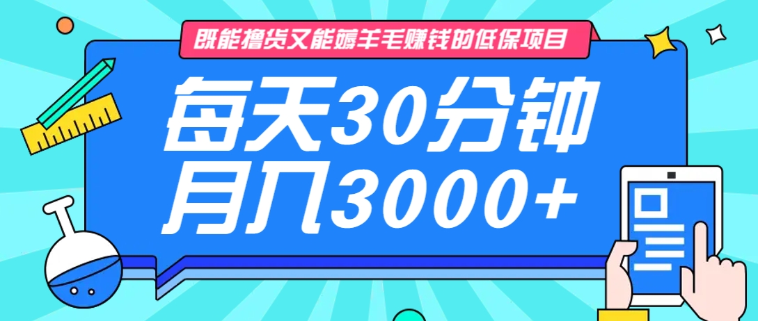 既能撸货又能赚钱的长期低保项目,每天30分钟,多号百分百稳定月入3000+!-柒浠资源网