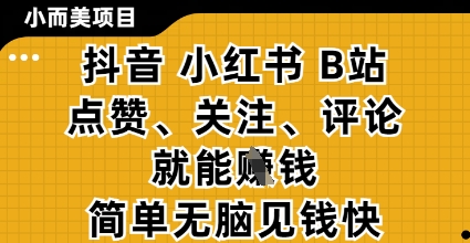小而美的项目，抖音小红书B站视频点赞、关注、评论就能挣钱，简单无脑立见收益，妥妥的零撸项目【揭秘】-柒浠资源网