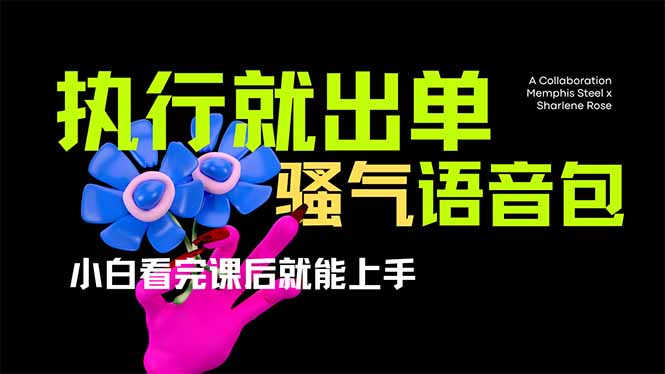 爆火全网的开车导航骚气语音包,只要执行就出单，小白看完课程就能实操…-柒浠资源网