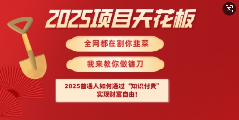 2025项目天花板普通人如何通过知识付费,实现财F自由【揭秘】